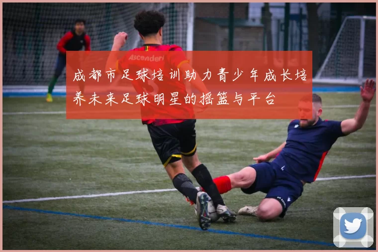 成都市足球培训助力青少年成长培养未来足球明星的摇篮与平台