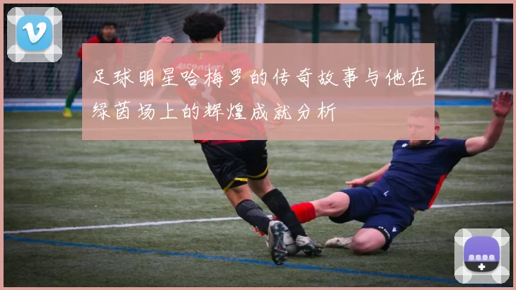 足球明星哈梅罗的传奇故事与他在绿茵场上的辉煌成就分析